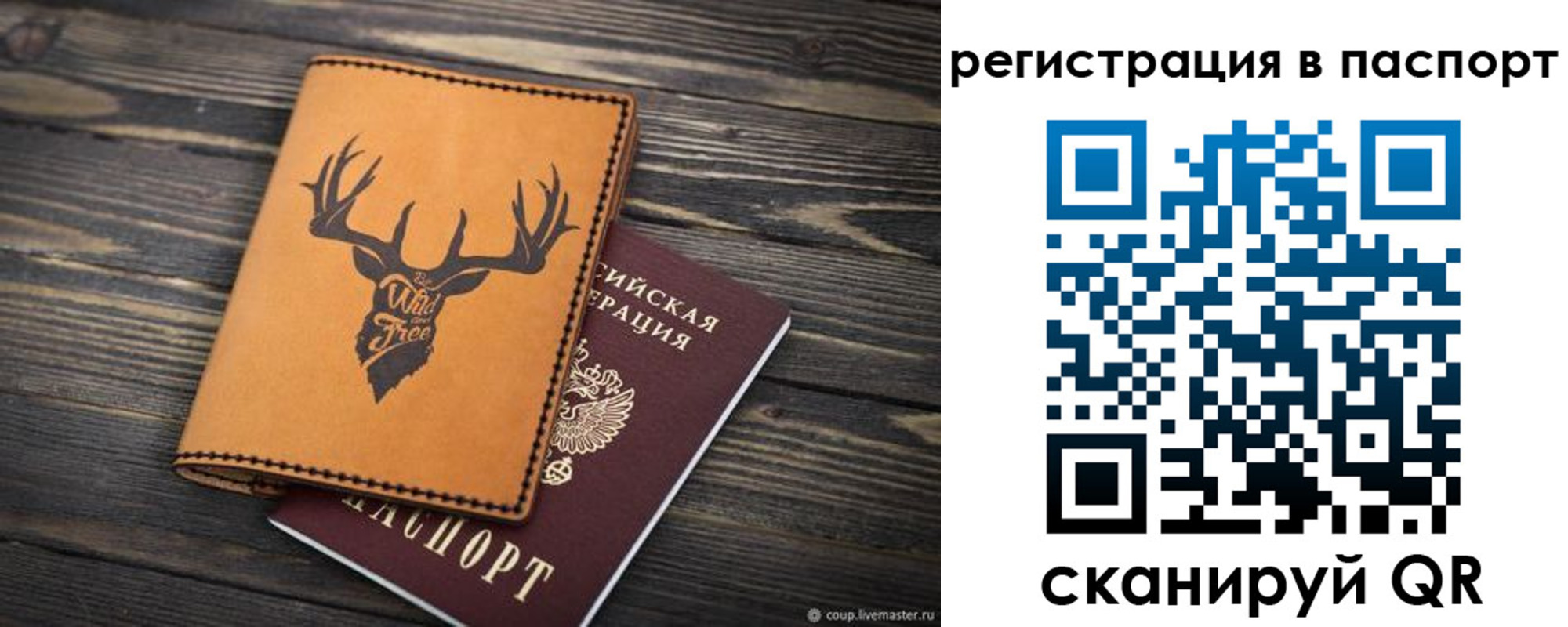 прописка паспорт в Красном Куте